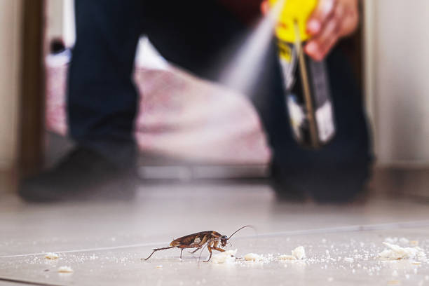 Mitchellville, MD Pest Control Company